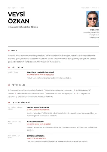 Mekatronik Mühendisliği Cv Örnekleri cv indir